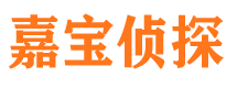 武宁侦探公司